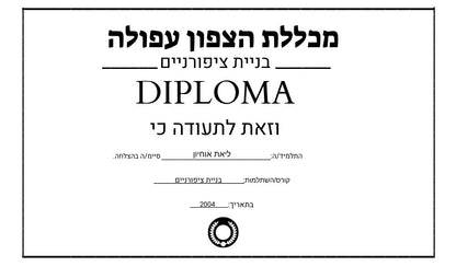 חבילה דיגיטלית – מחיר מיוחד